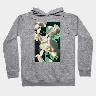 Colored orchids on a green background Hoodie